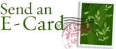 Send An Ecard