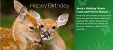 Send an E-card Send An E-card