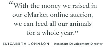 cMarket example